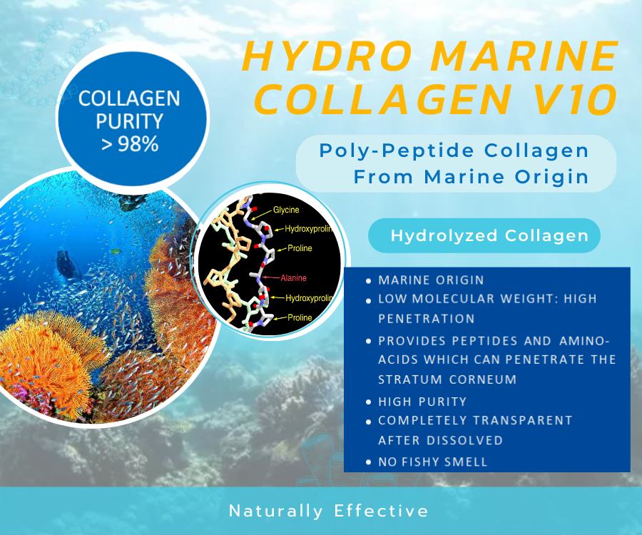 Hydro Marine Collagen V10 คอลลาเจนจากปลาทะเล ในรูปของ Hydrolyzed Collagen ไม่มีกลิ่นคาว ดูดซึมสู่ผิวง่าย